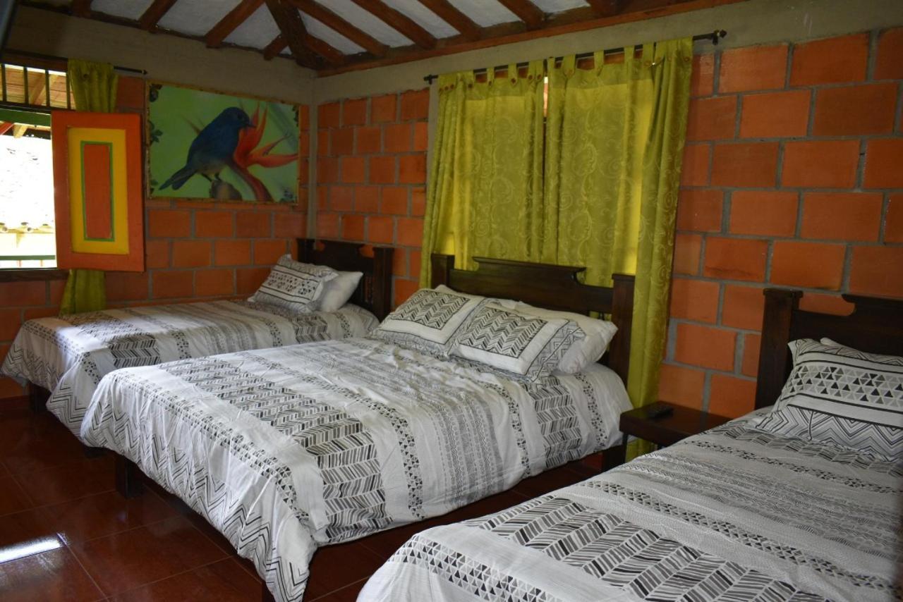 Finca Hotel Villa Mariana 蒙特内哥罗 外观 照片